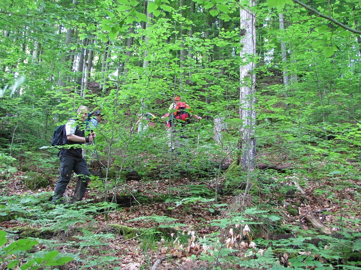 Wanderung 2013_098.jpg